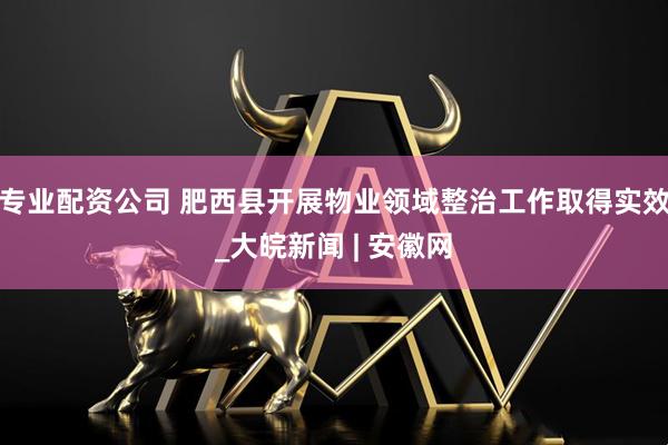 专业配资公司 肥西县开展物业领域整治工作取得实效_大皖新闻 | 安徽网