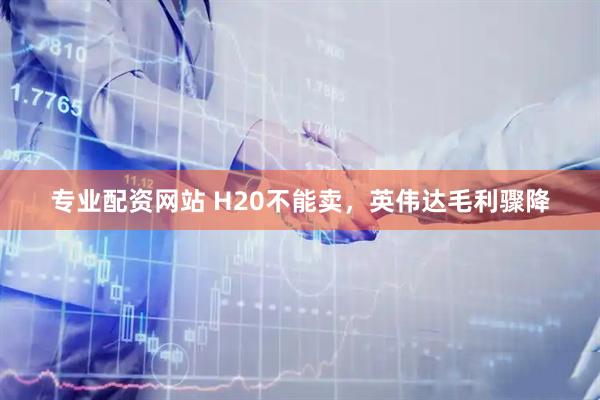 专业配资网站 H20不能卖，英伟达毛利骤降