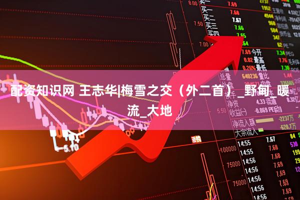 配资知识网 王志华|梅雪之交（外二首）_野甸_暖流_大地