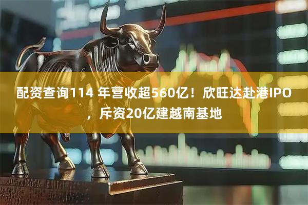 配资查询114 年营收超560亿！欣旺达赴港IPO，斥资20亿建越南基地