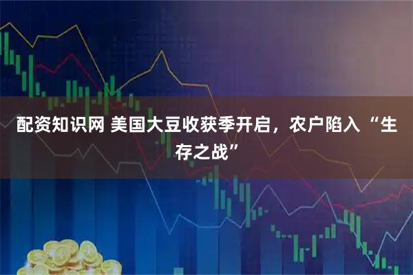 配资知识网 美国大豆收获季开启，农户陷入 “生存之战”